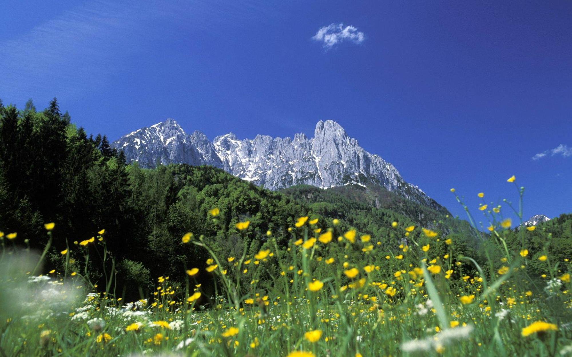 Landhaus Foidl Sankt Johann in Tirol Exterior foto